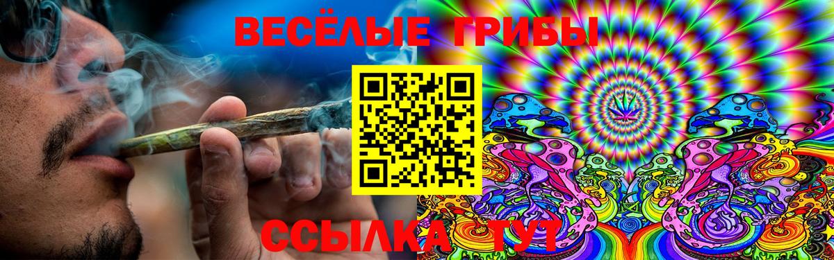 Псилоцибиновые грибы мицелий Зеленогорск