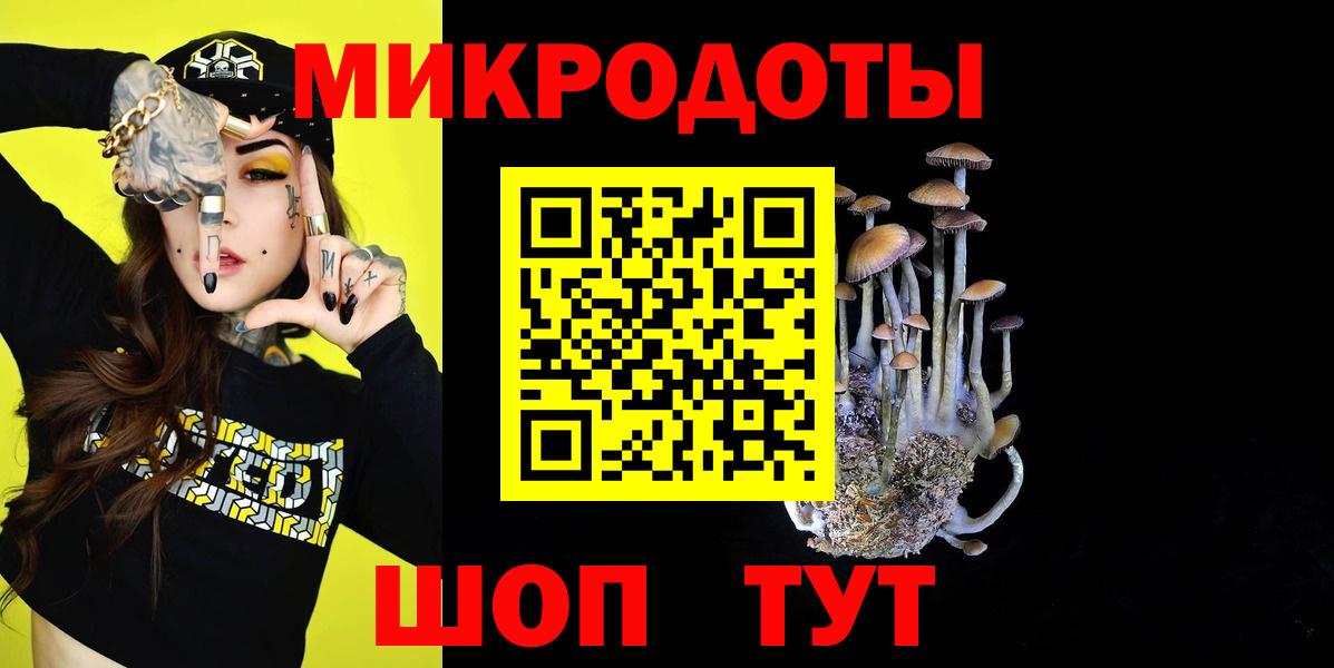 Галлюциногенные грибы прущие грибы  Псилоцибиновые грибы Psilocybe  наркота  Зеленогорск  Вход с VPN 