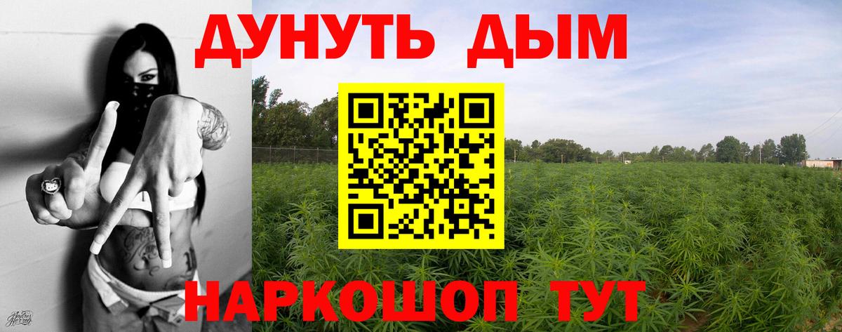 Каннабис индика  Марихуана тримм  Марихуана сатива  МАРИХУАНА LSD WEED  Зеленогорск  Вход с VPN 